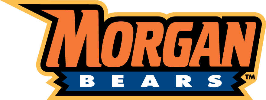 Morgan State Bears 2002-Pres Wordmark Logo v6 iron on transfers for clothing